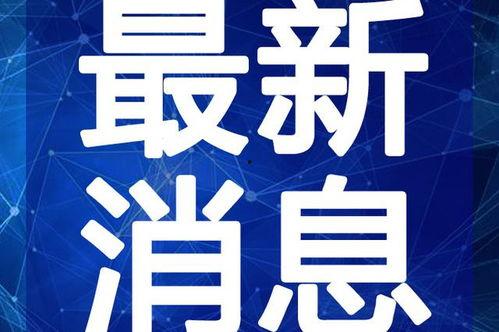 石湾热点爆料新闻视频最新